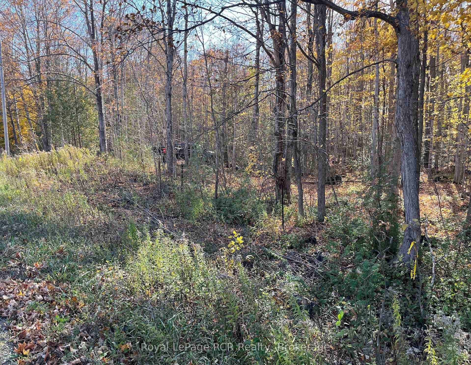 Part Lot 17 Grey Road 17 Road photo 4