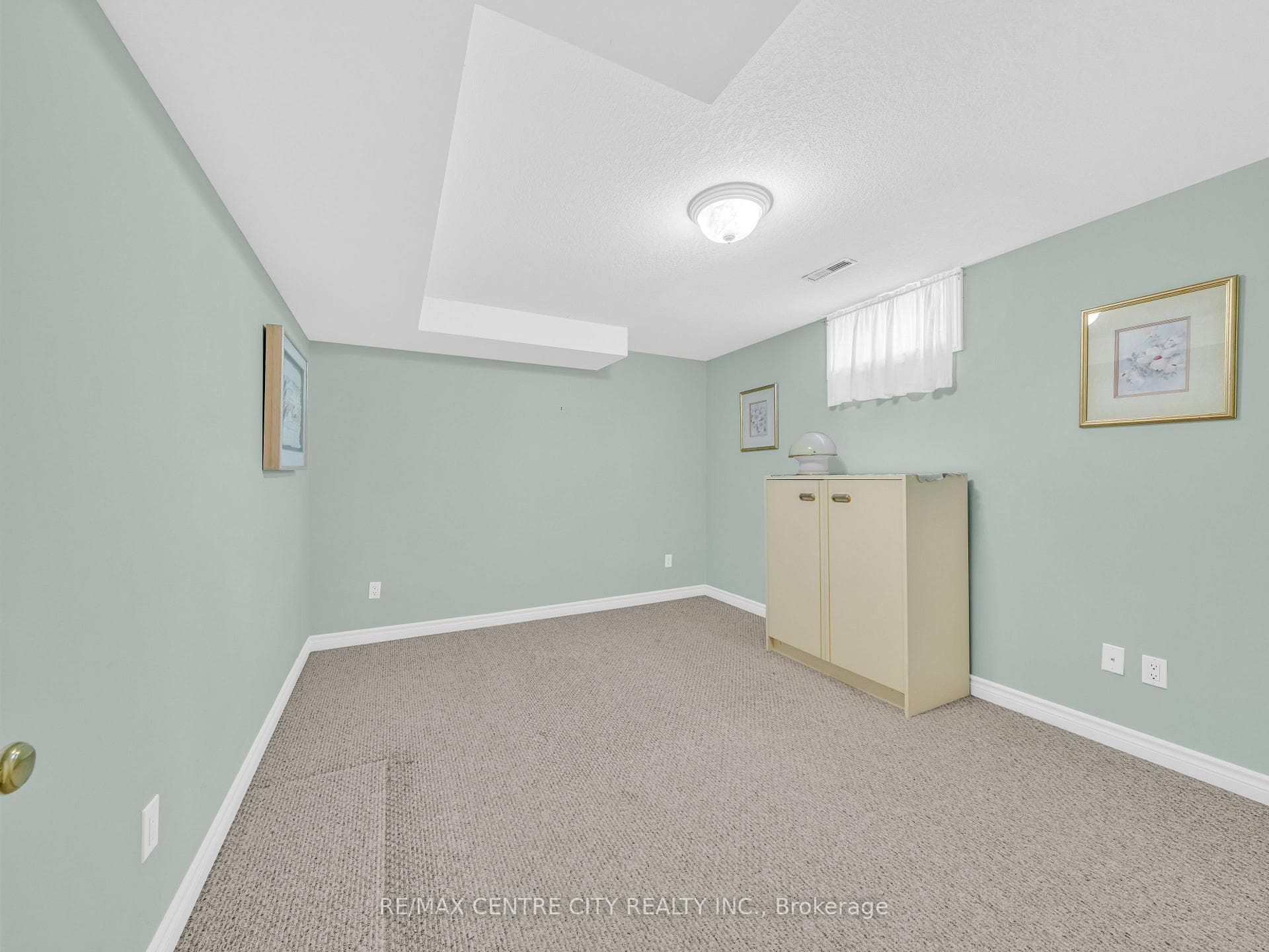 Lower Level Bedroom