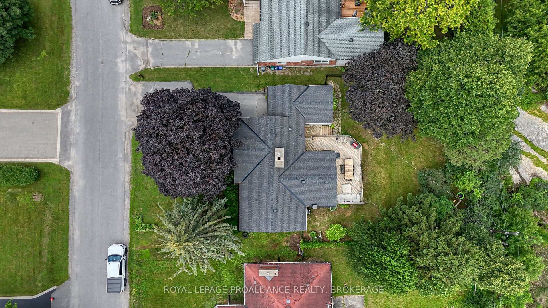 27 Elizabeth Avenue photo 36
