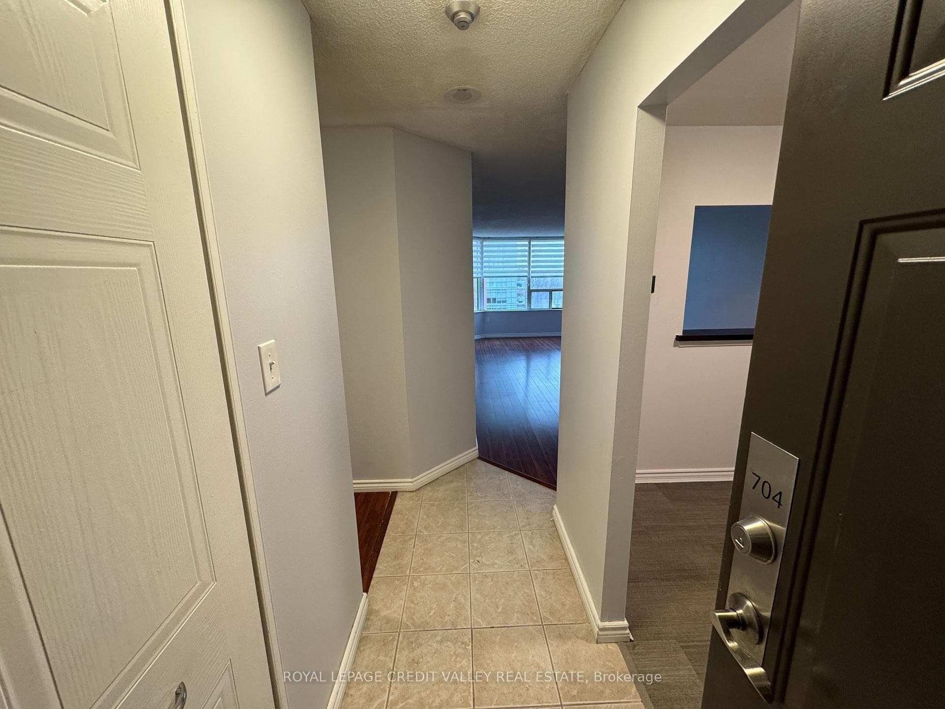 1270 Maple Crossing Boulevard Unit 704 photo 10