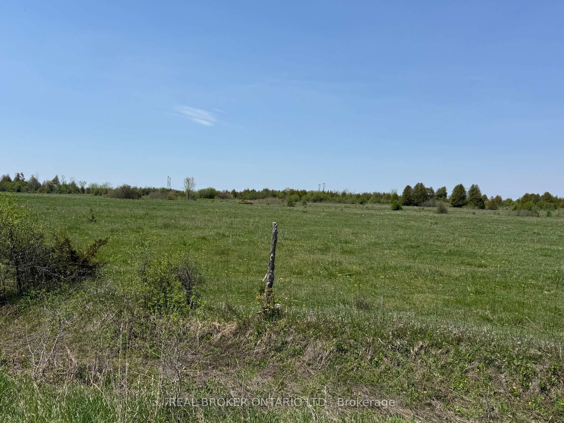 00 WILLIAM CAMPBELL Road photo 4