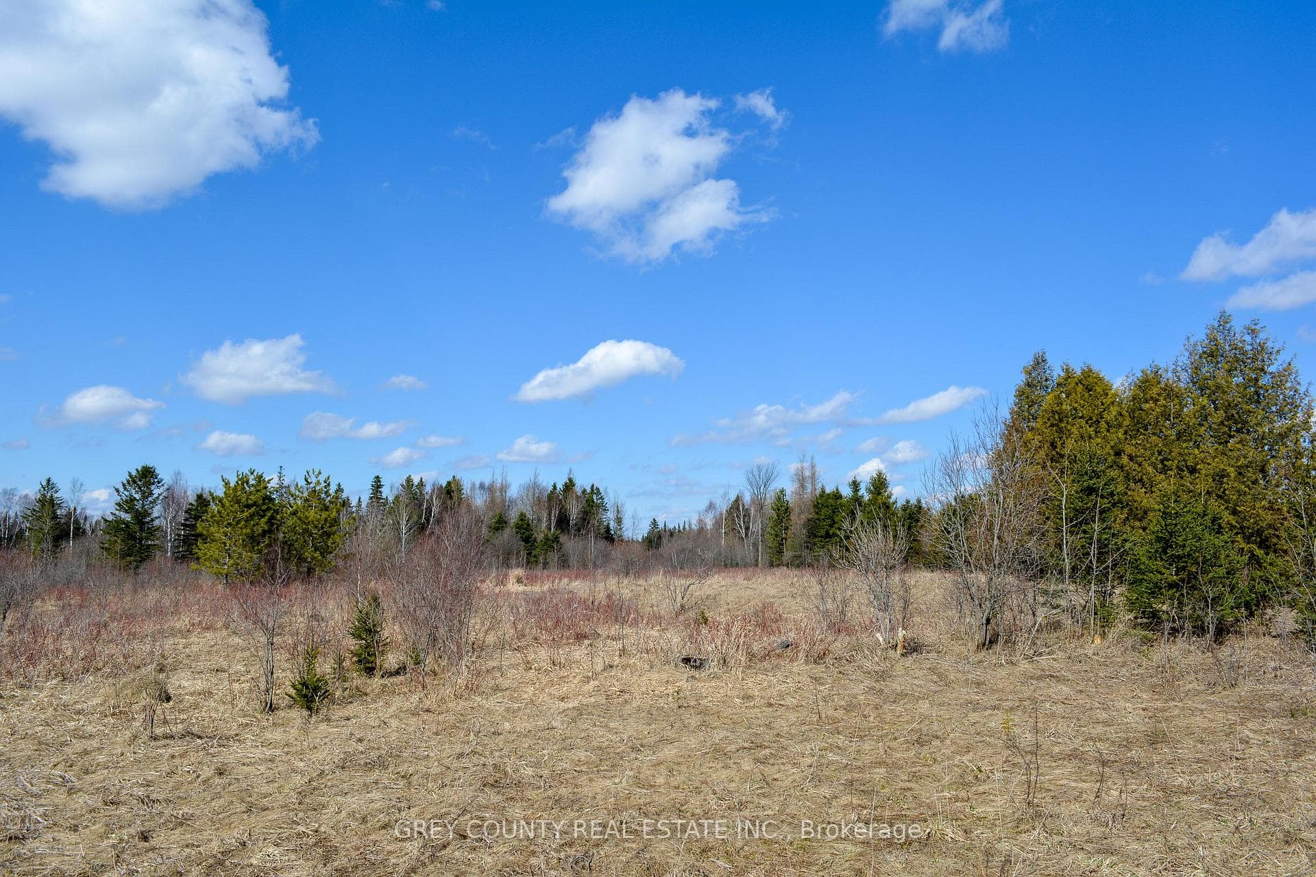 305765 180 Side Road photo 15