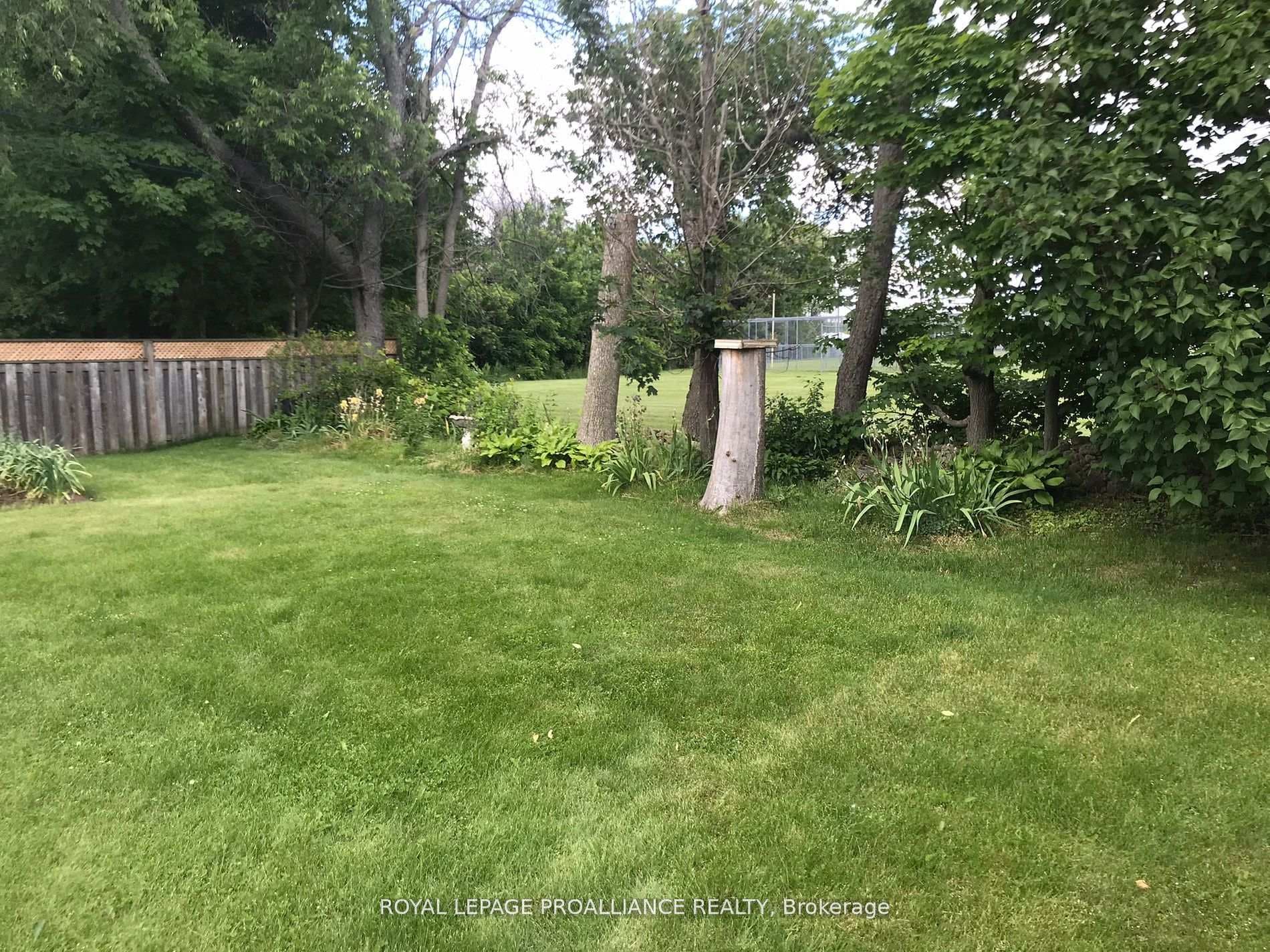 81 Westwind Crescent photo 34
