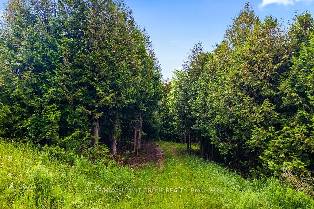 525532 Grey Rd 30 N/A photo 19