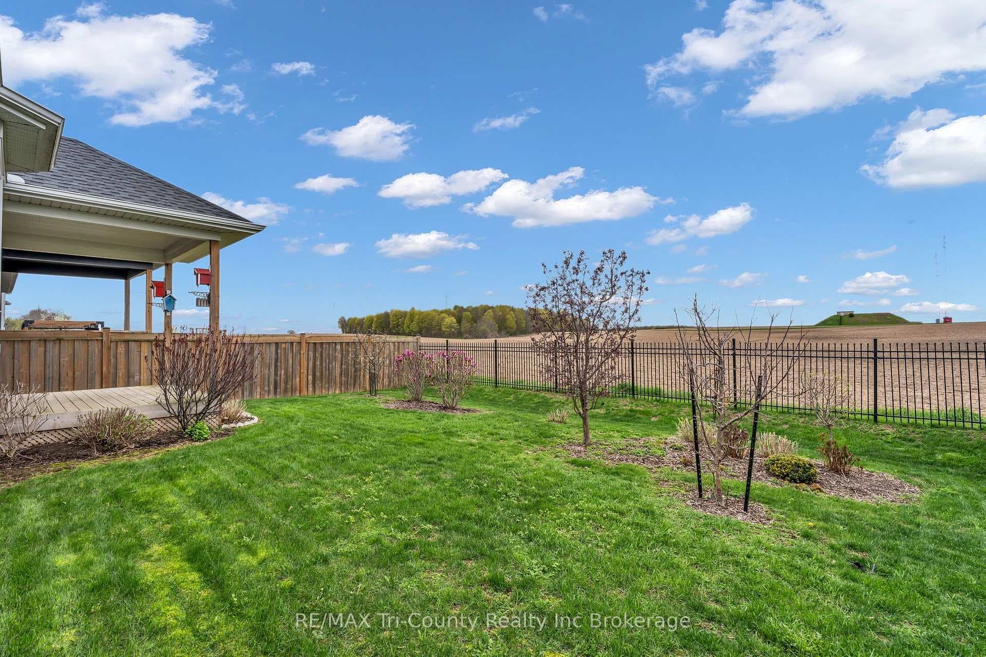 18 Crocus Avenue photo 35