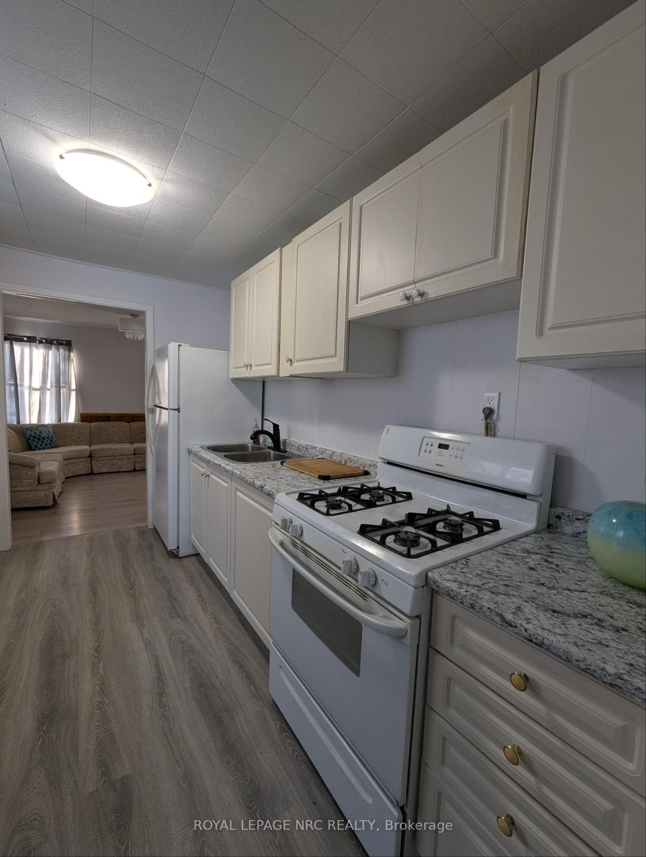 Gas stove, double sinks, fridge