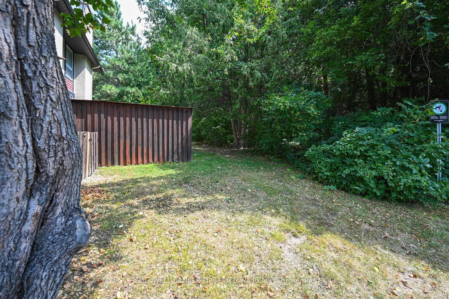 154 McClintock Way photo 35