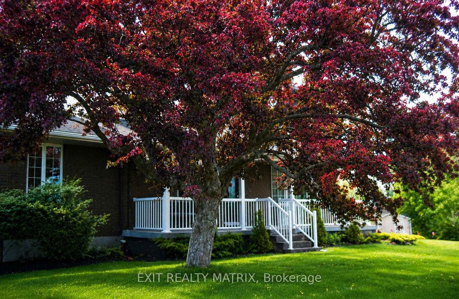 18203 Kenyon 19 Concession photo 43