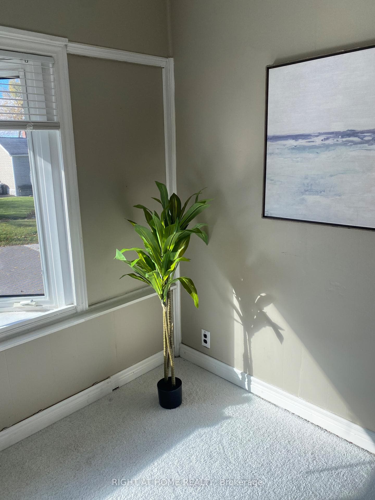 51 Frederick Street photo 11