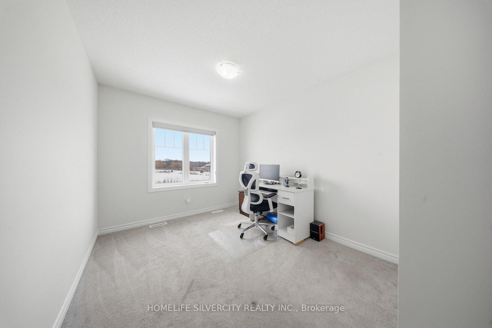 273 Gillespie Drive photo 23