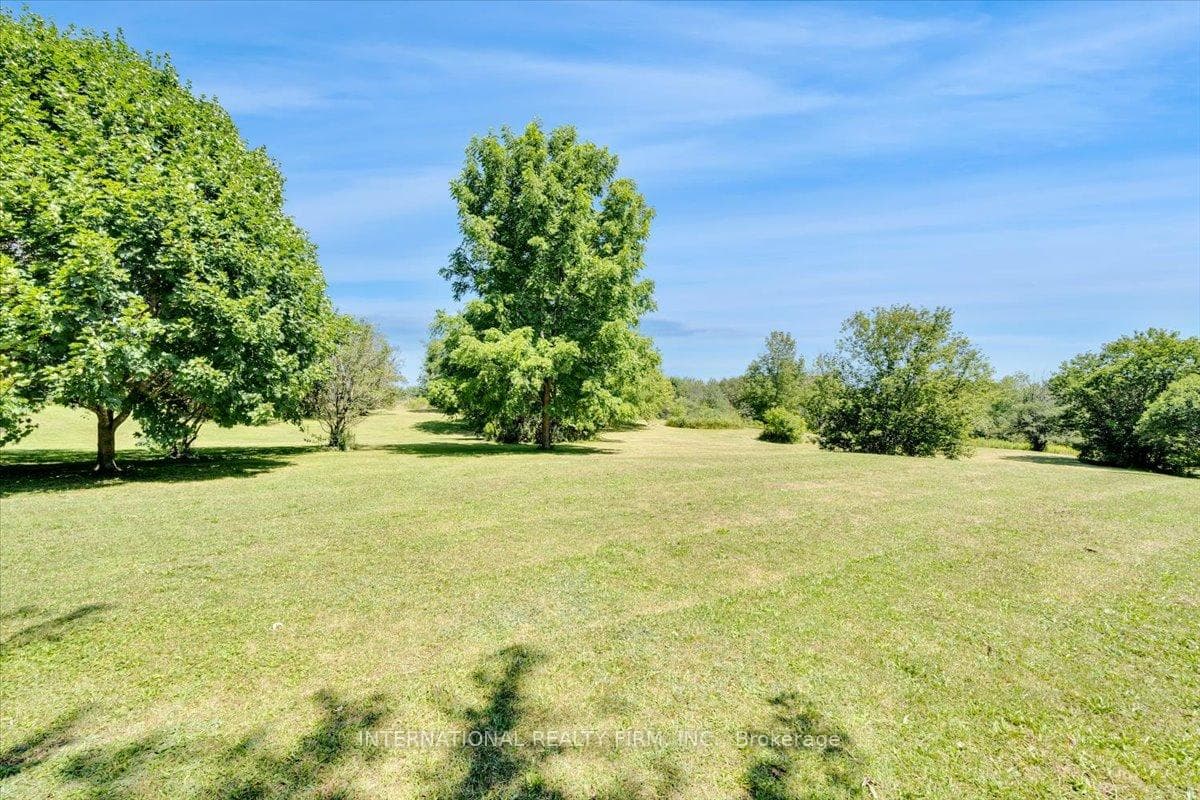 10425 Side Road 17 Road photo 9