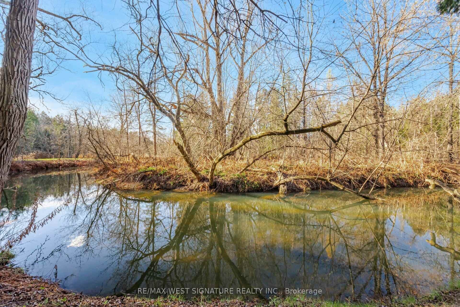 12664 Mill Road photo 33