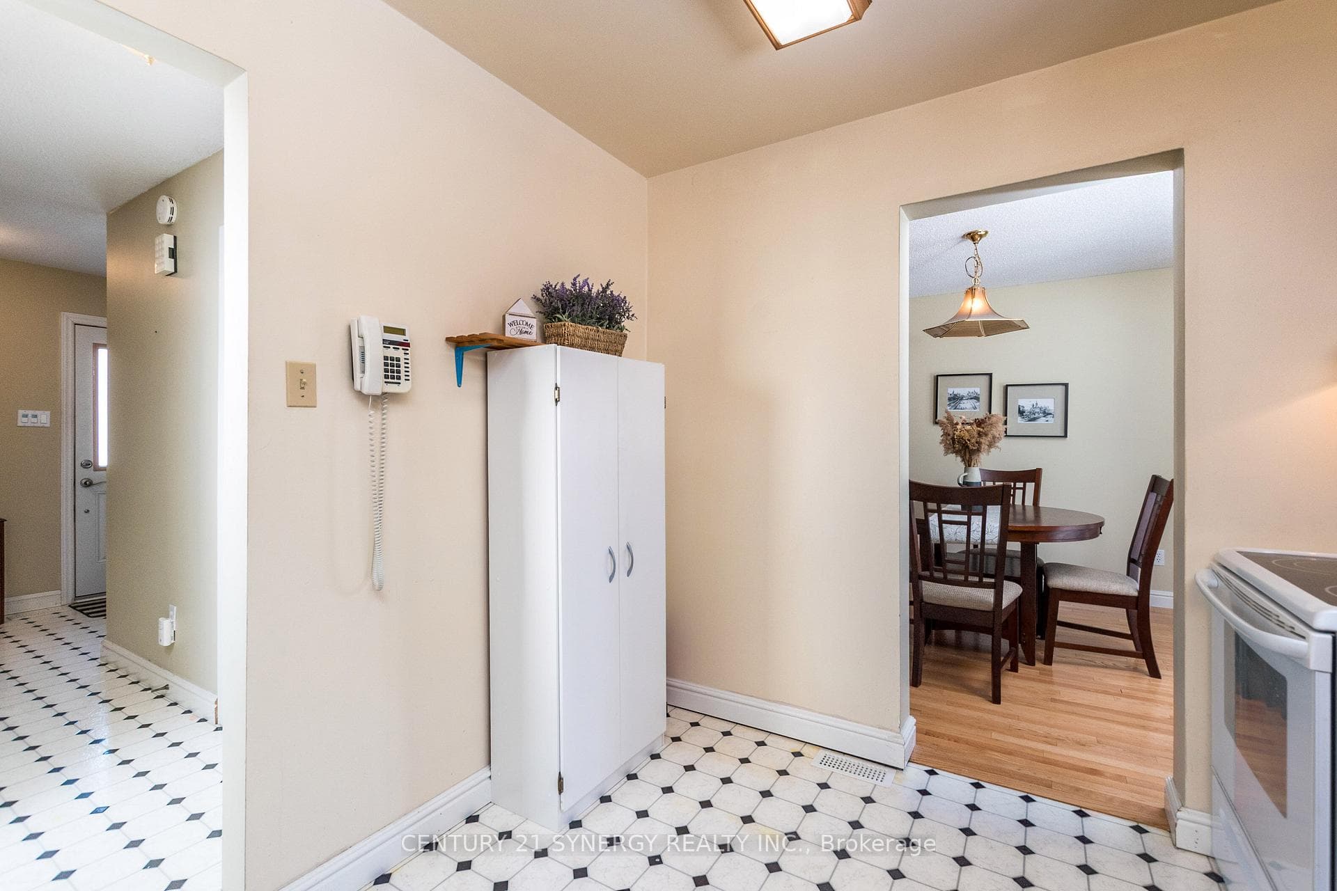47 Rothesay Drive photo 11
