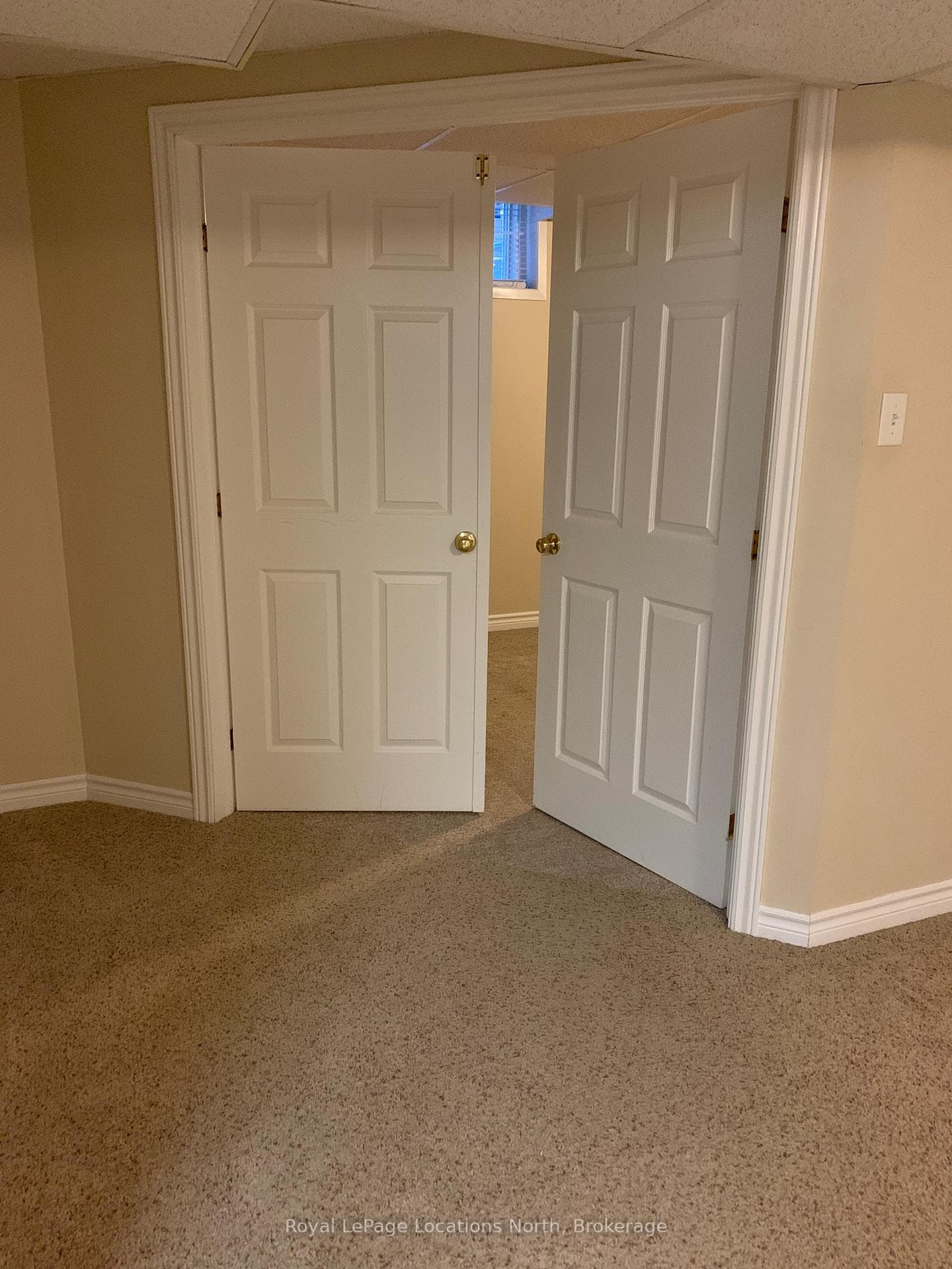 20 Connor Avenue photo 37