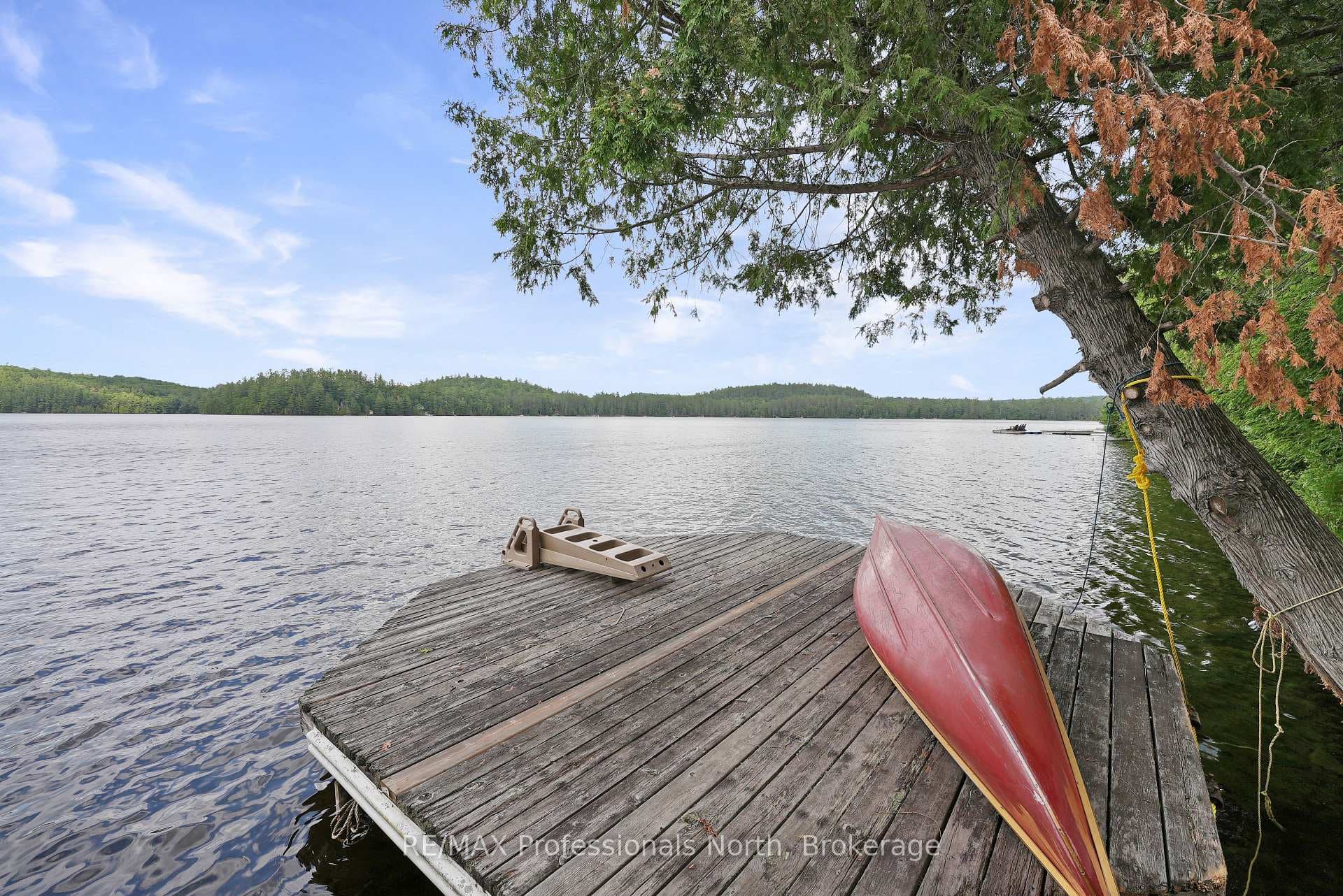 1358 Grace River Road photo 27