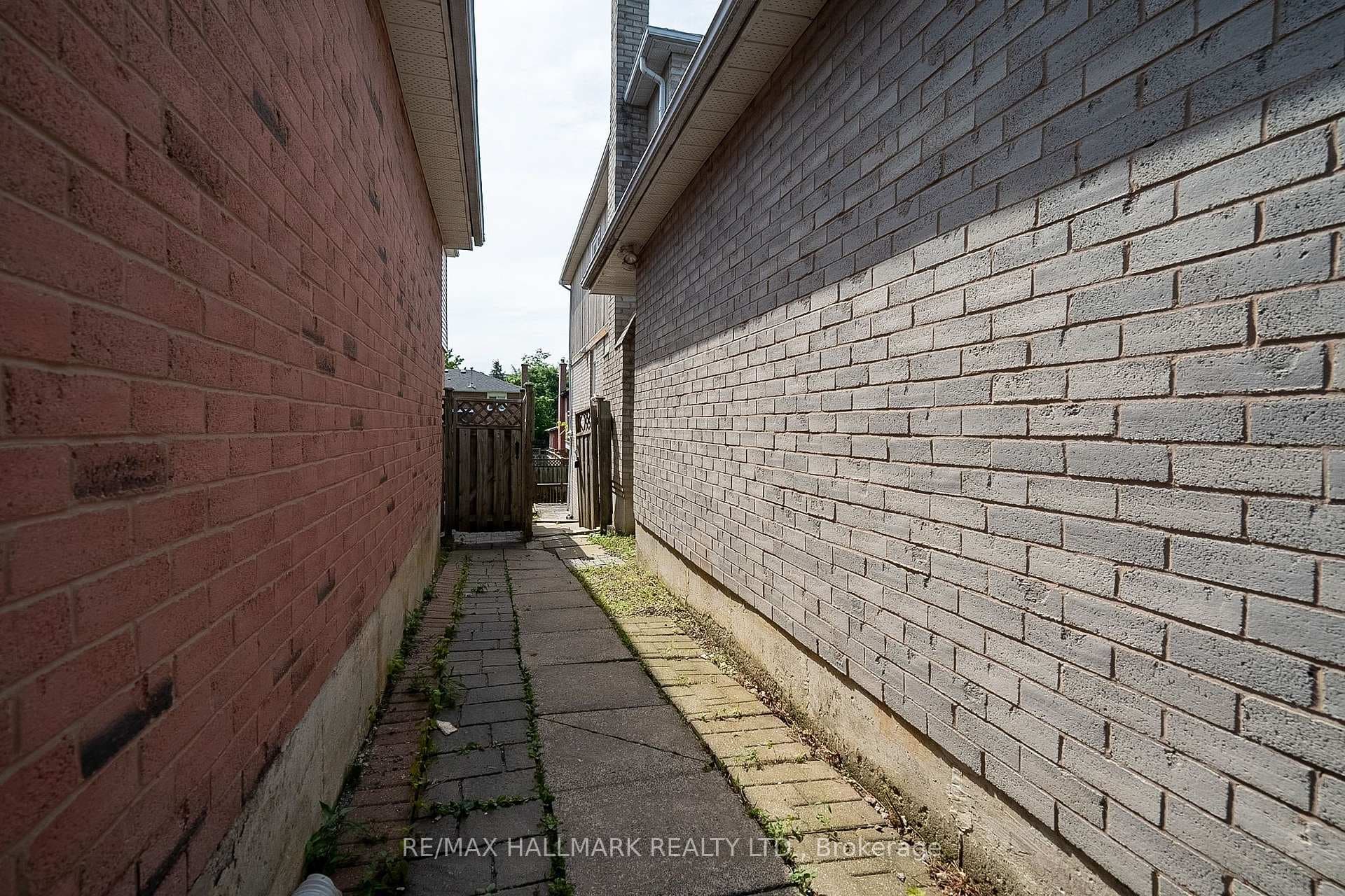 15 Bingham Street photo 28