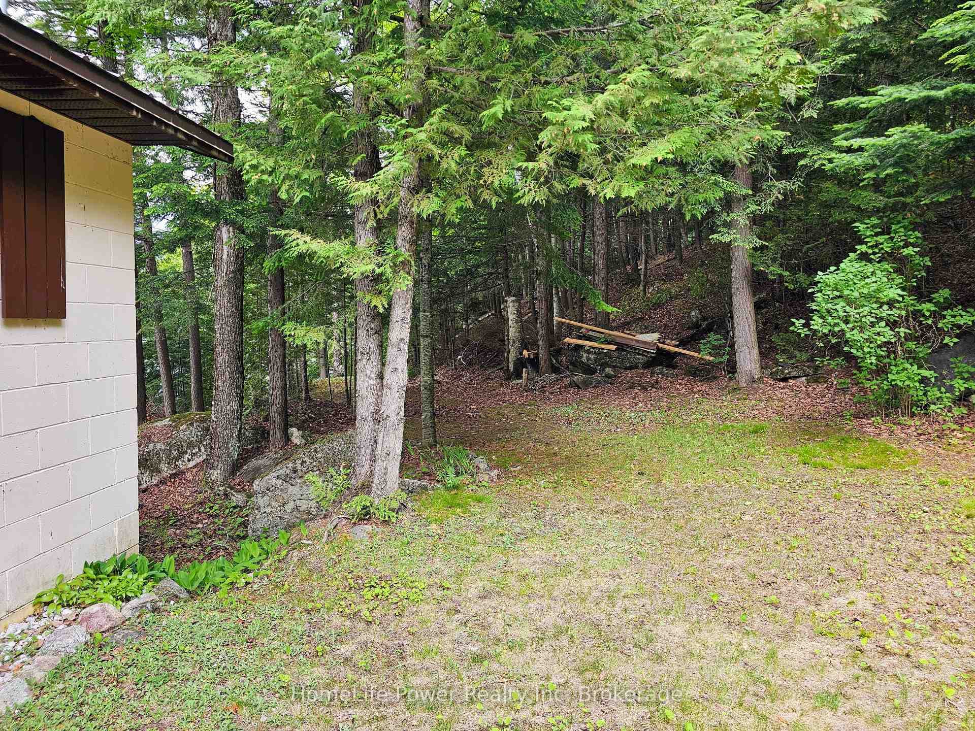 1021 Chalmers Lane photo 6