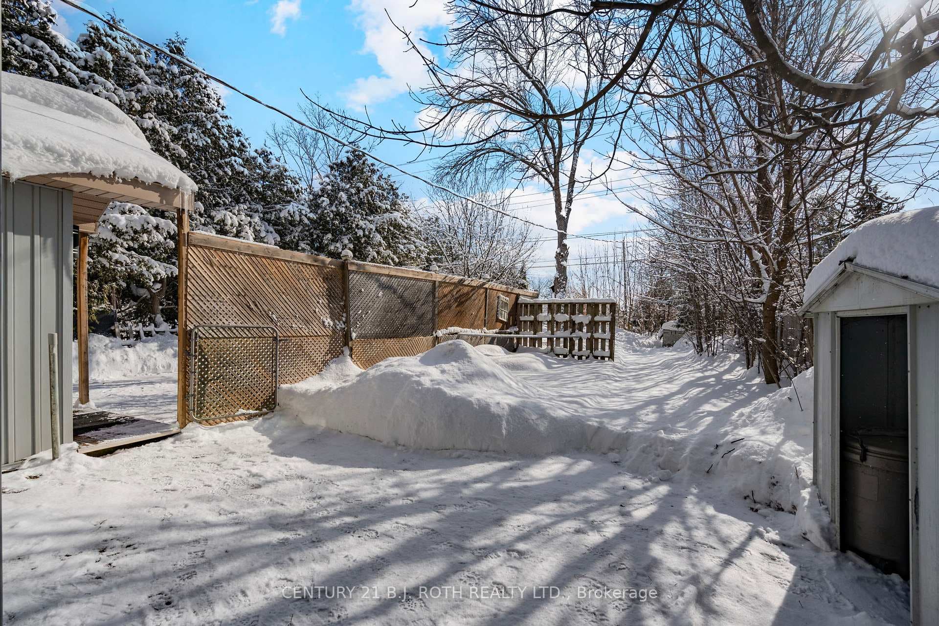 376 Barrie Road photo 5