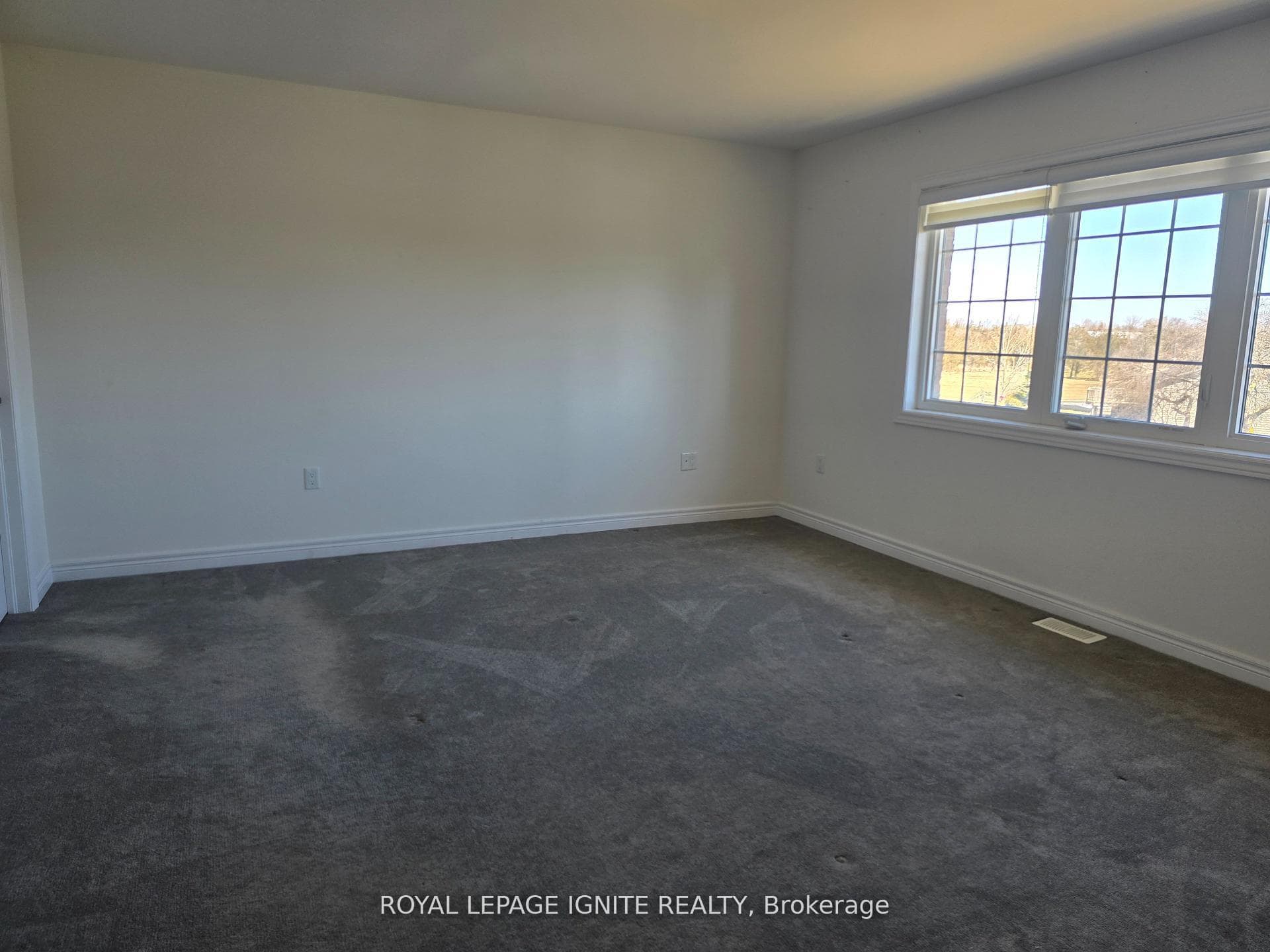 57 Summer Breeze Drive photo 11