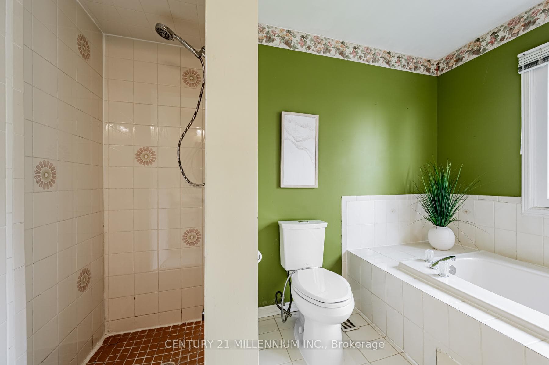 16 Brownridge Court photo 20