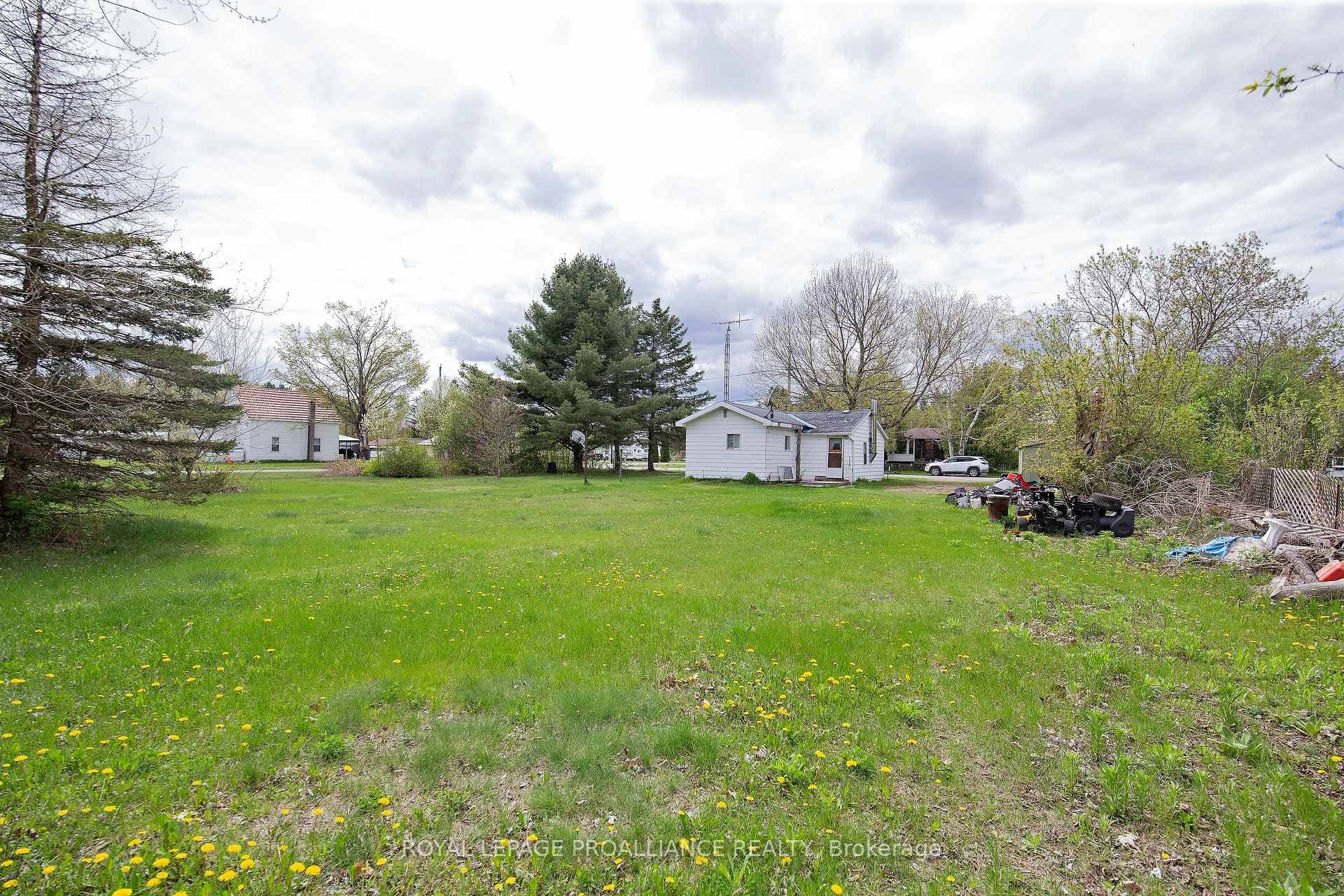 38 Edward Street photo 15