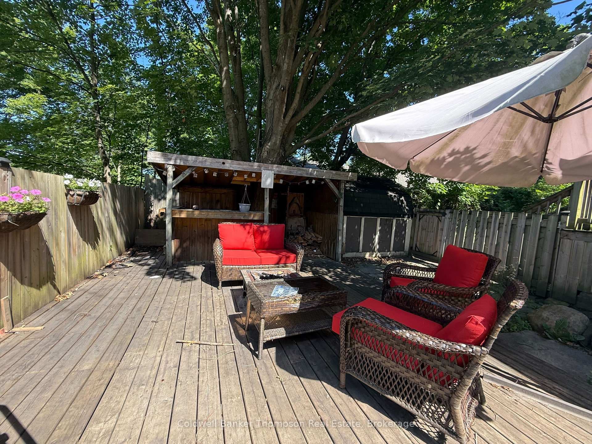 12 Lansdowne Street photo 43