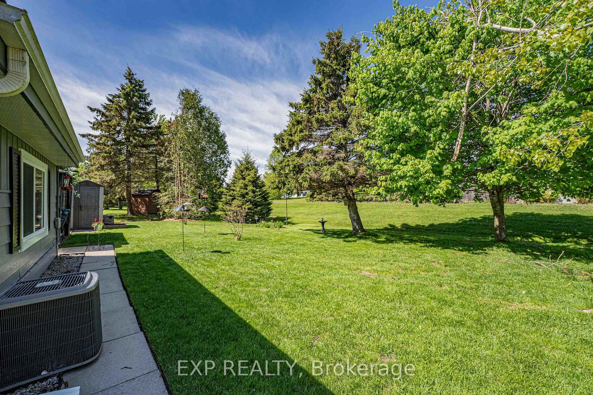 View of the backyard