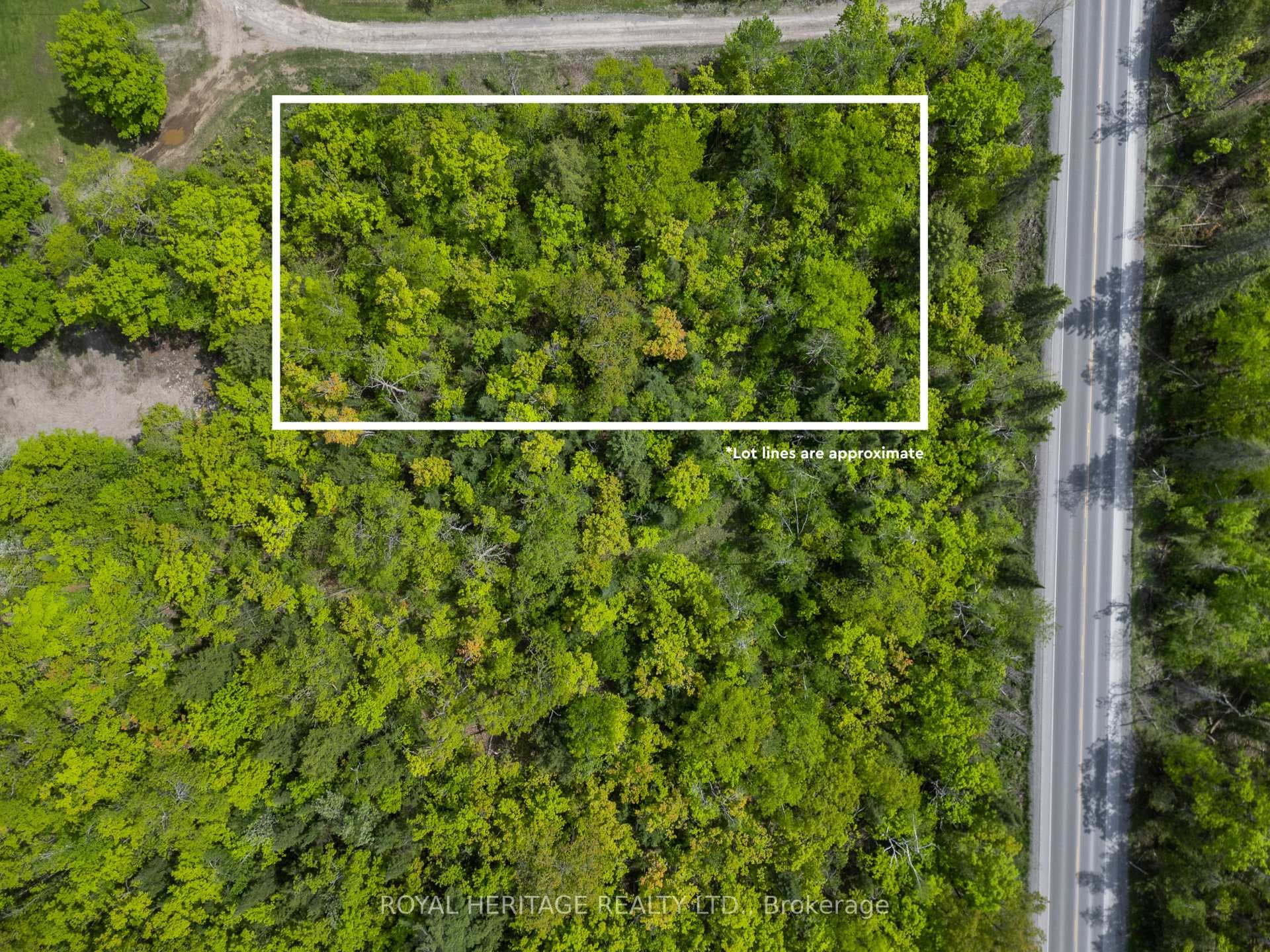 994 COUNTY ROAD 49 N/A photo 2