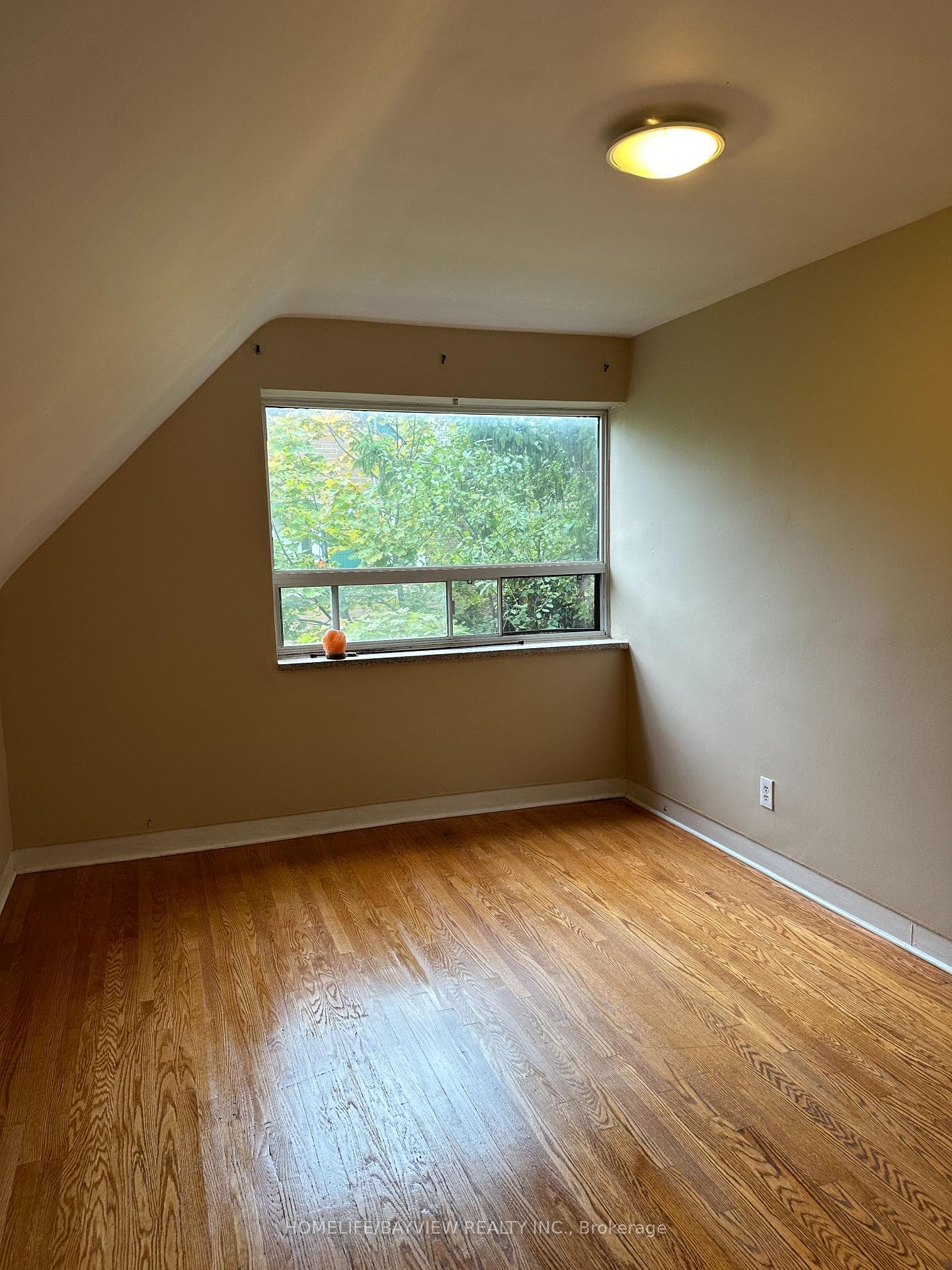 36 Tremont Crescent photo 16