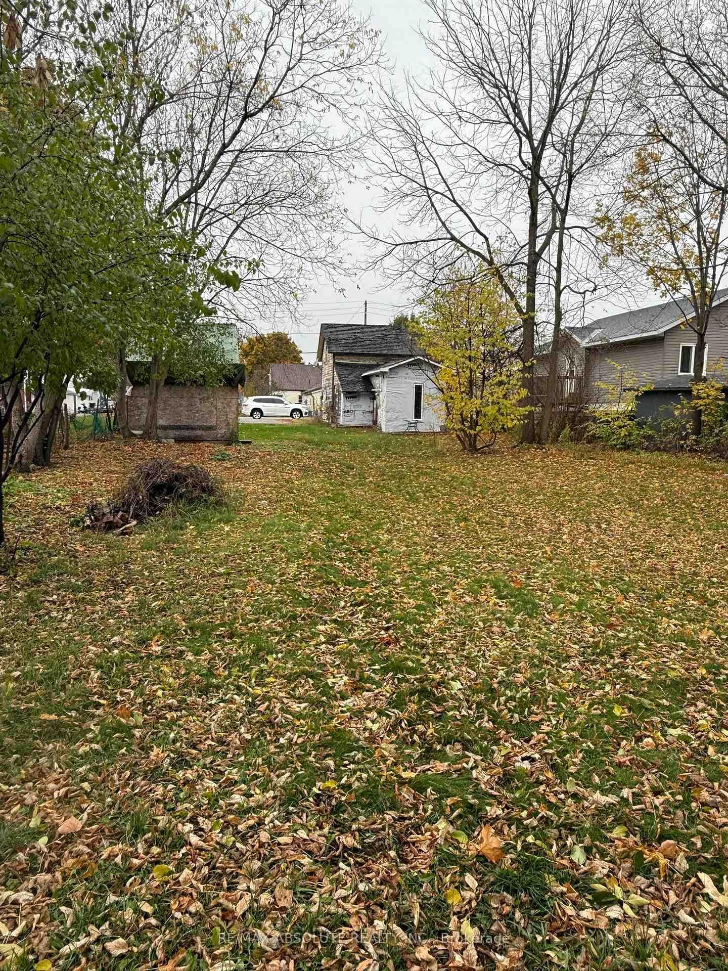 33 Lorne Street photo 7