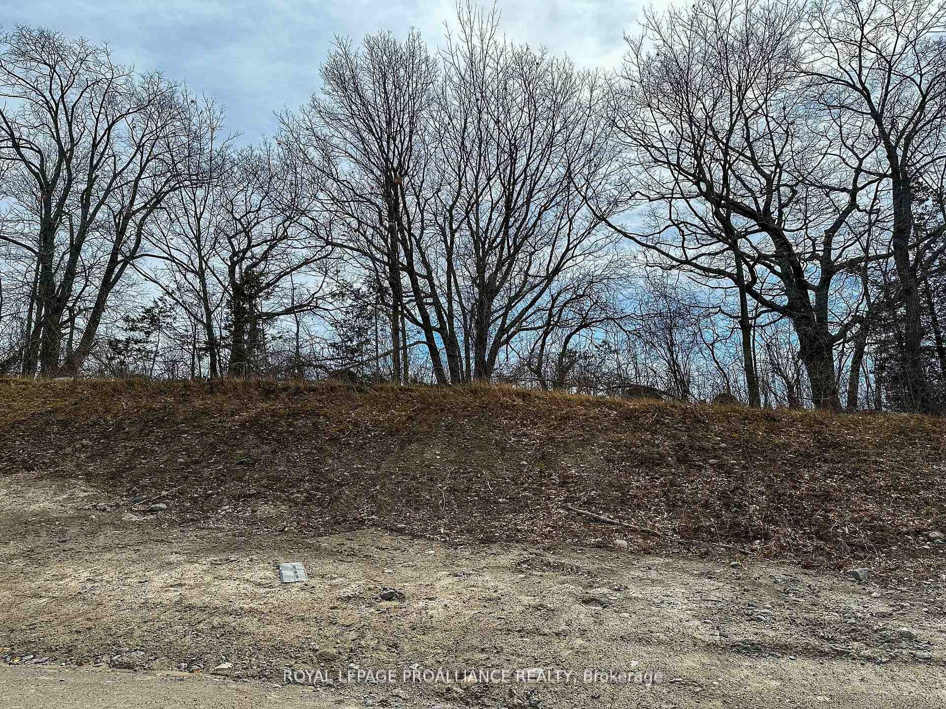 59 Meagan Lane photo 4