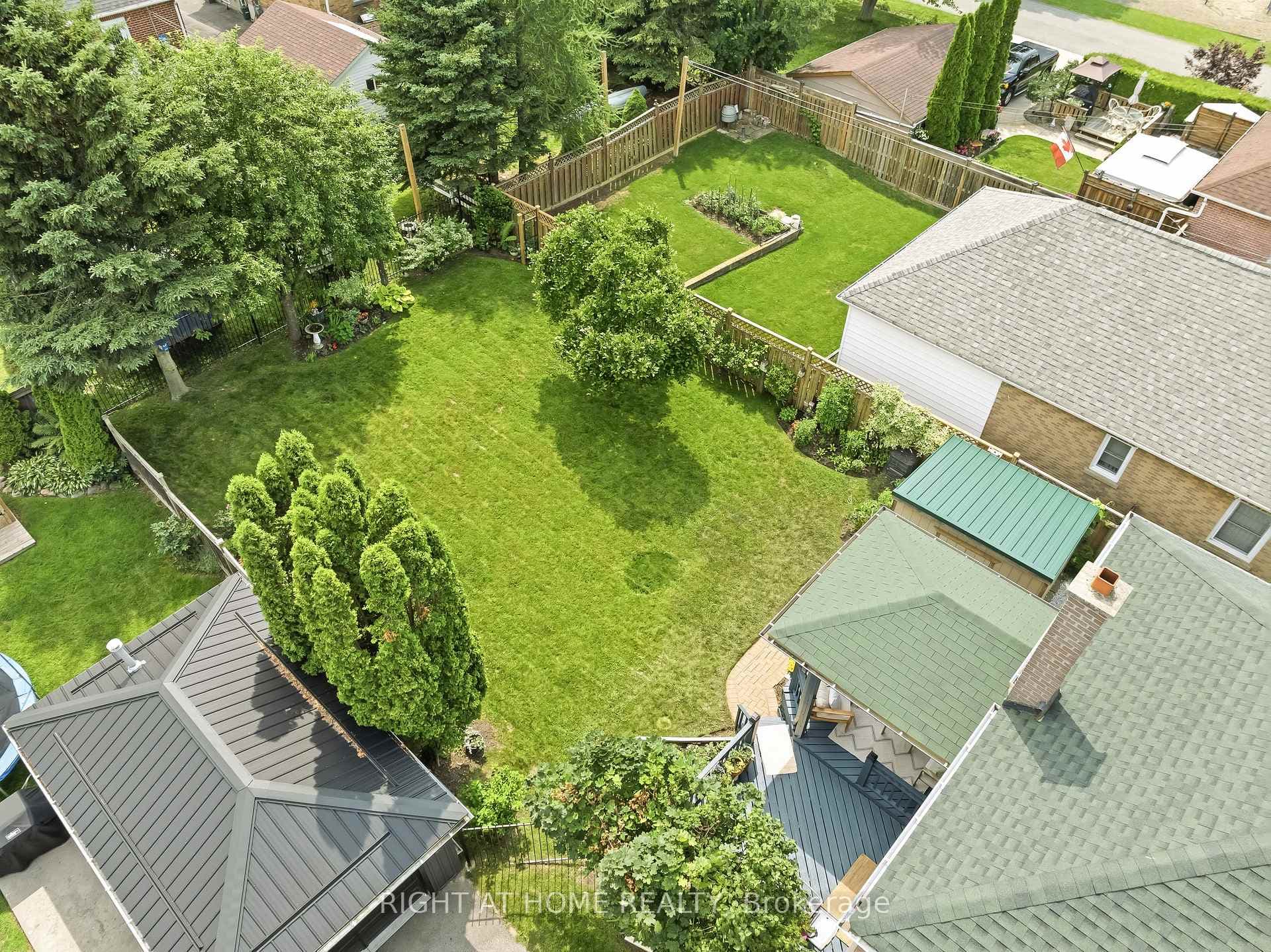 11 Clovelly Street photo 46