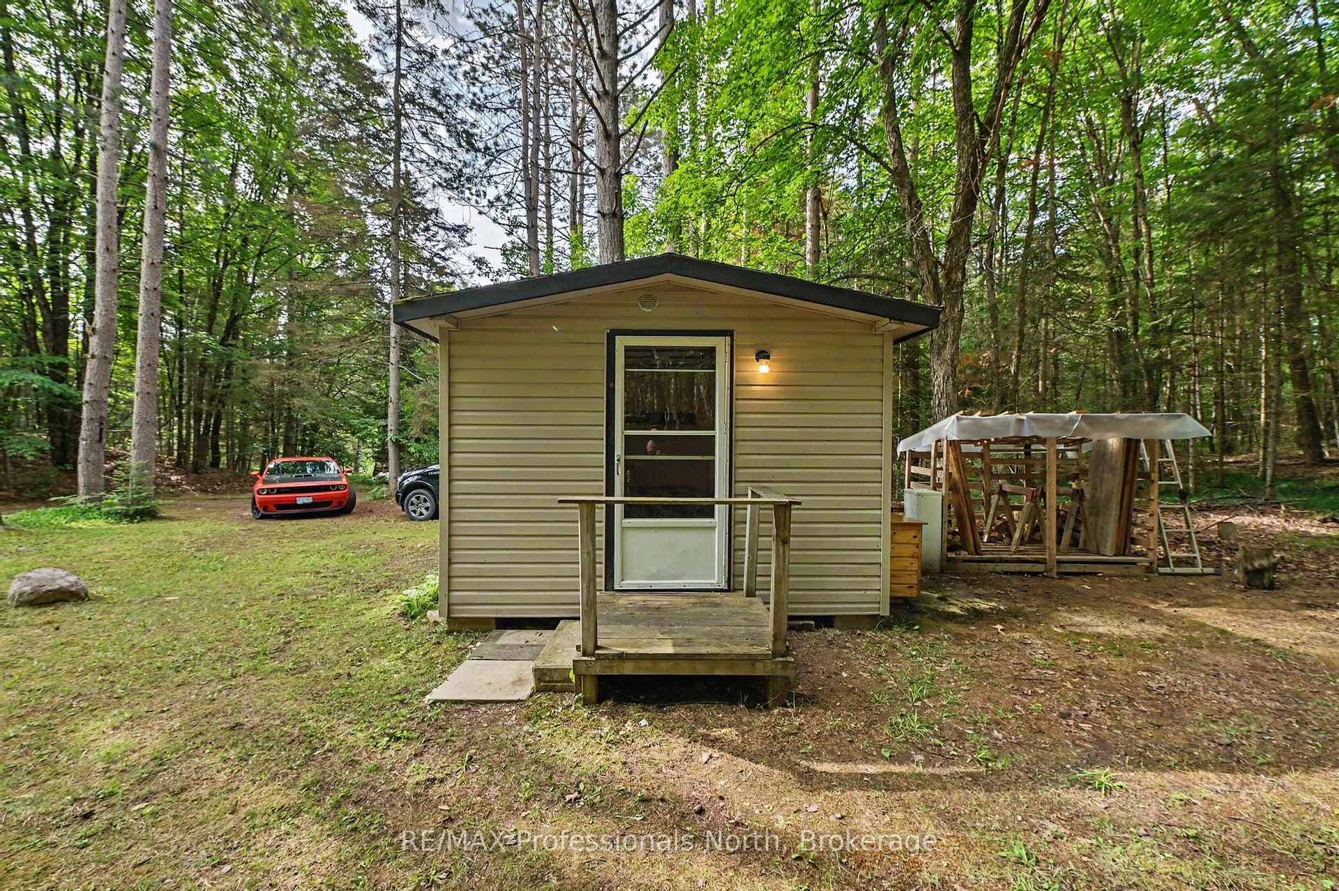 Bunkie