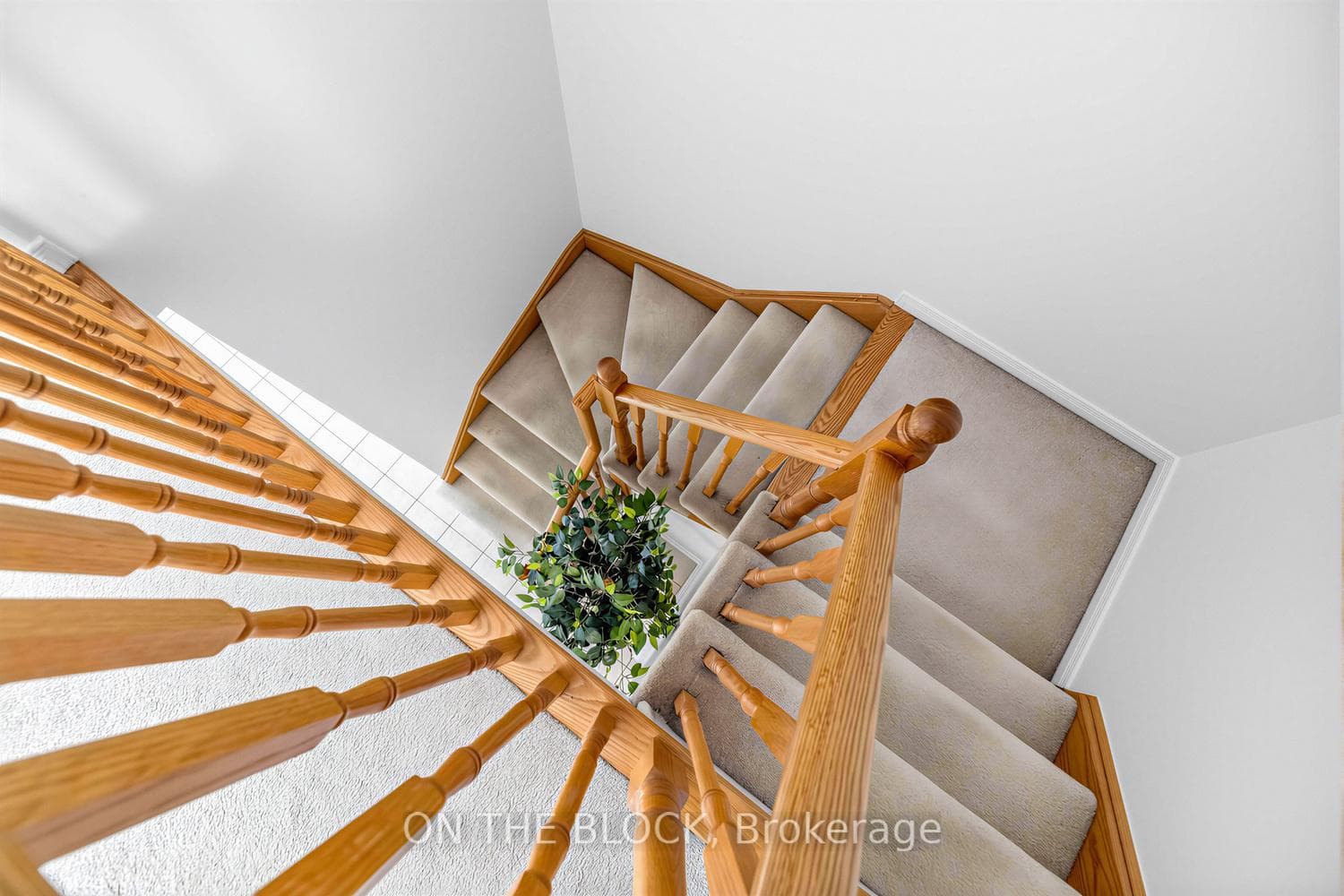 9 Hammill Heights photo 15