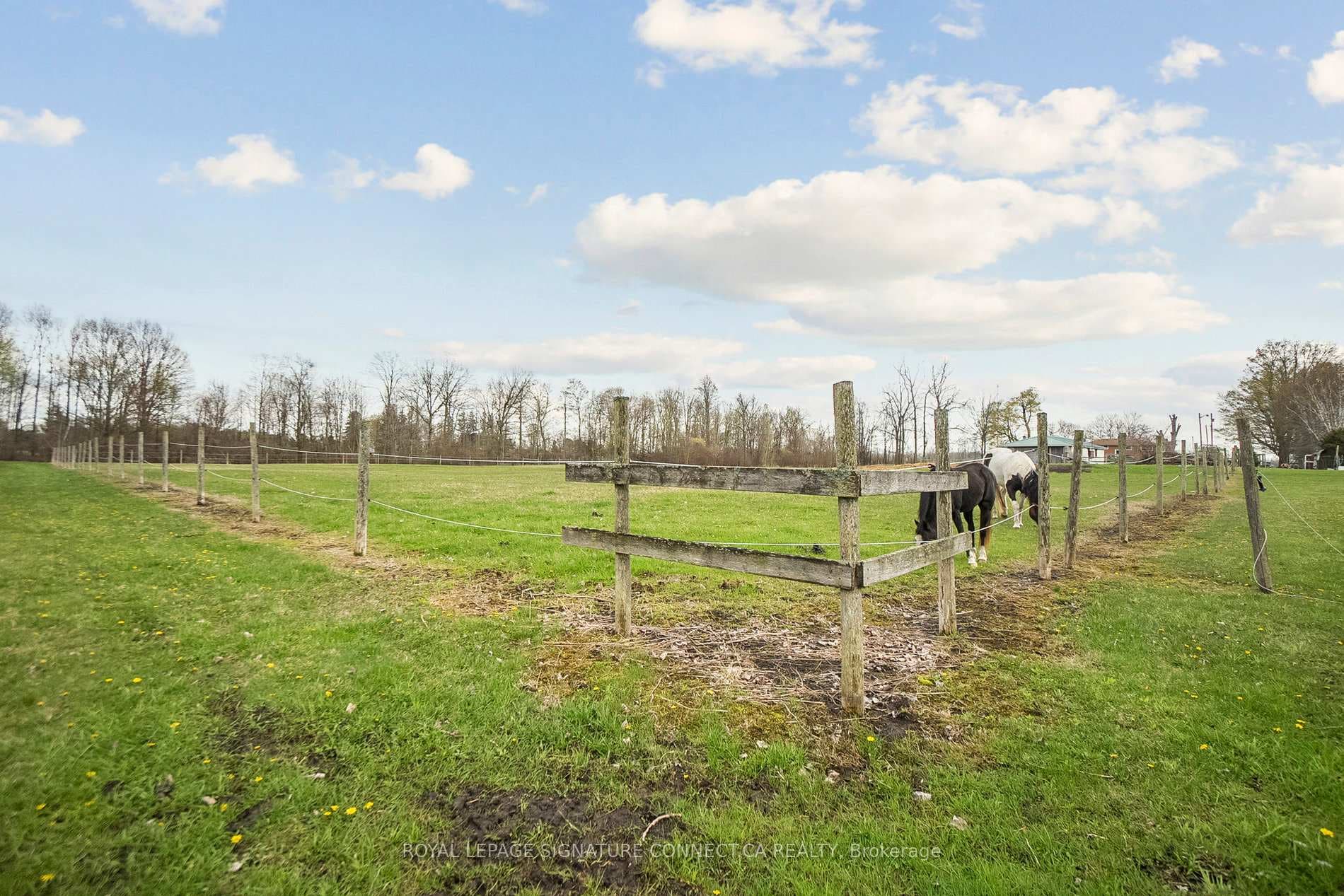 283 Inman Road photo 9