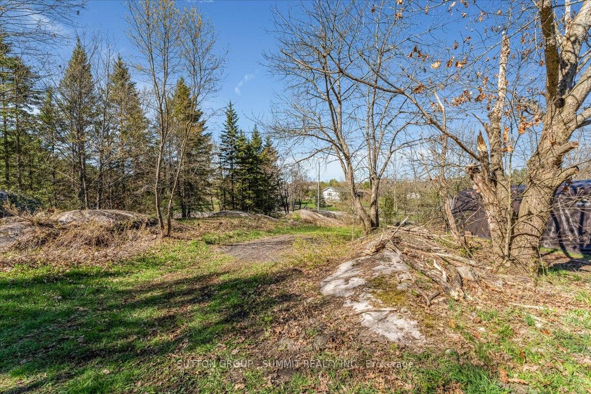 49 PINERIDGE Drive photo 15
