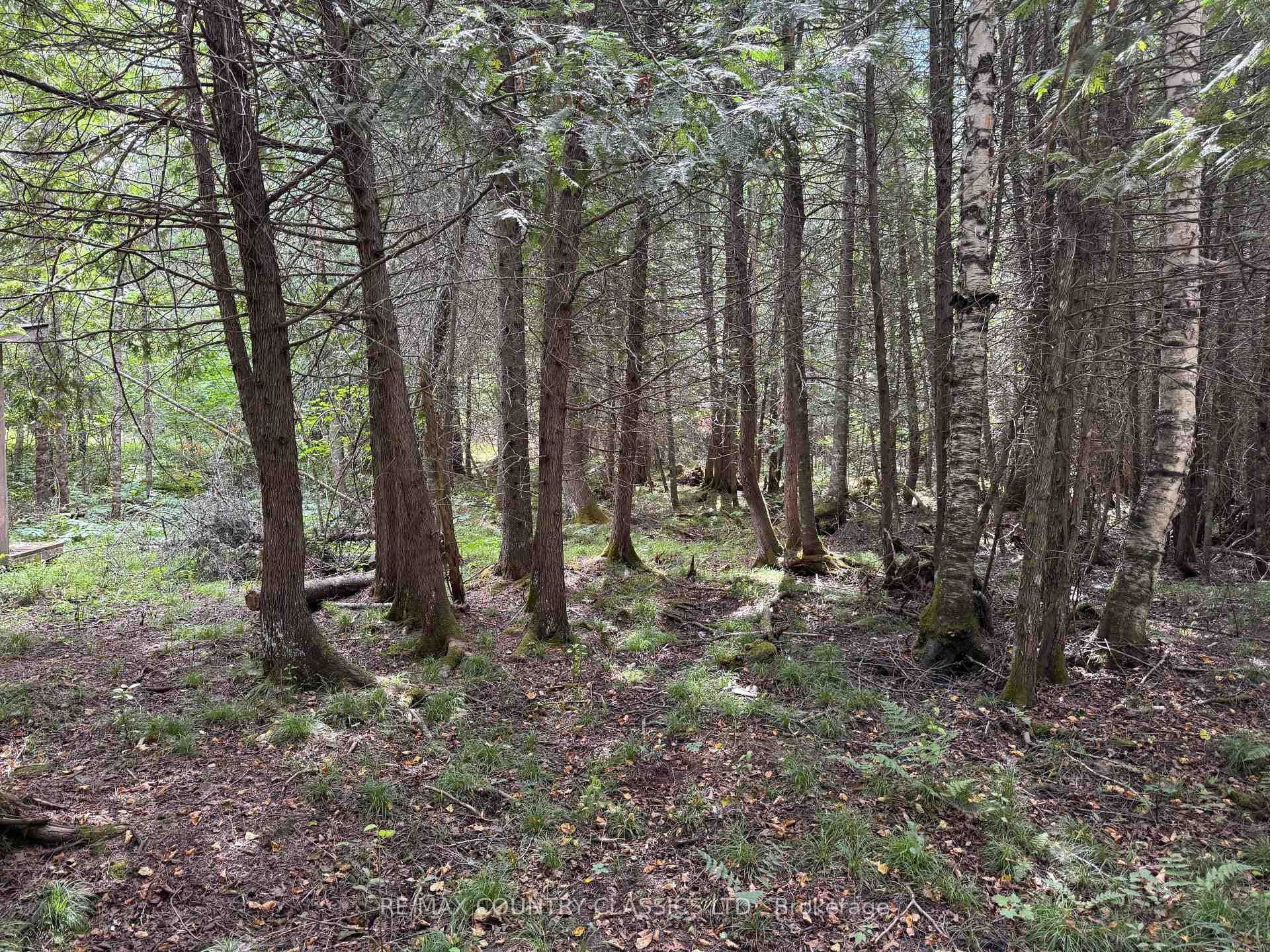 189 Schimmens Road photo 3