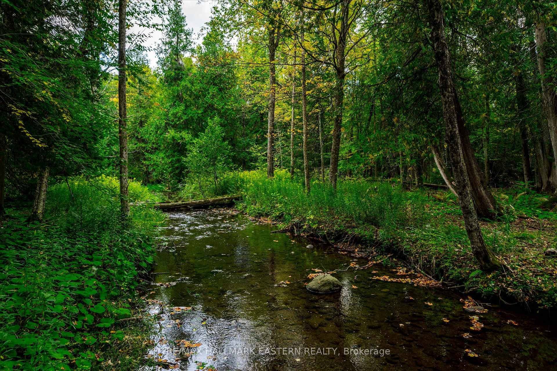 Year round stream
