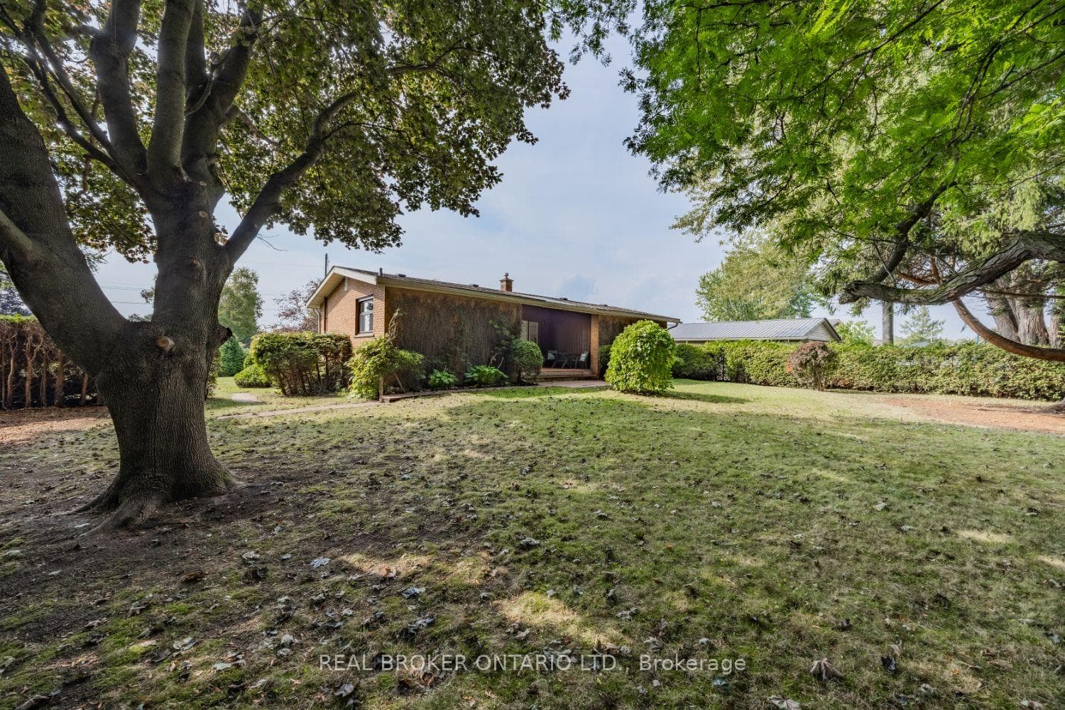 17 Jane Avenue photo 36