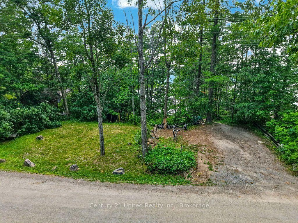 24 Bedwell Drive photo 45