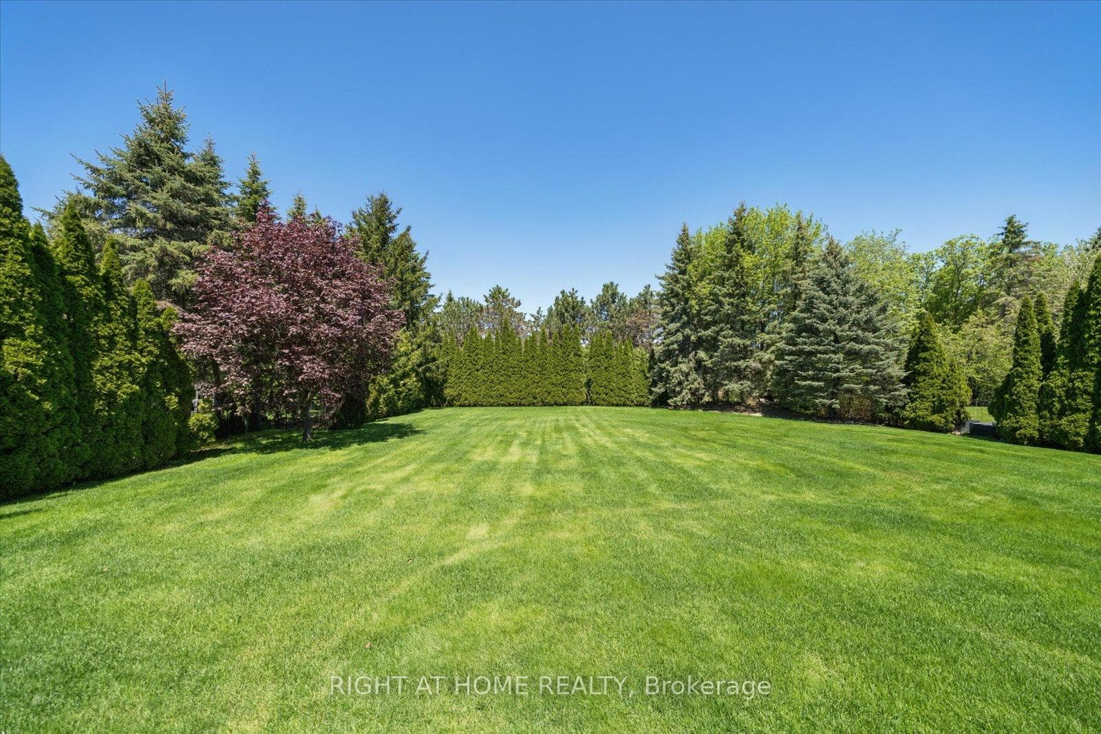 Ample privacy and sunlight all year round!