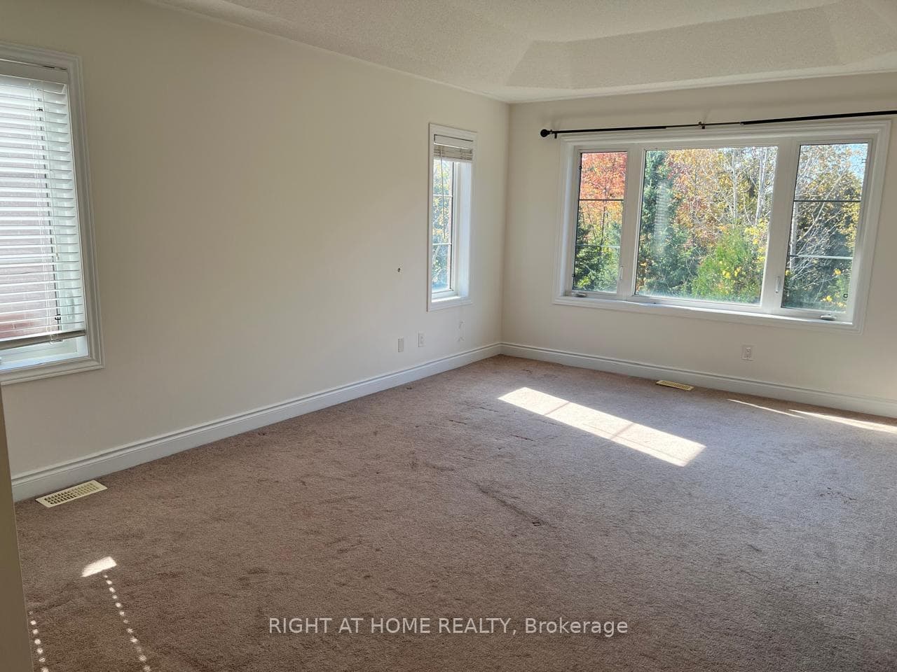 100 Lacewood Drive photo 15