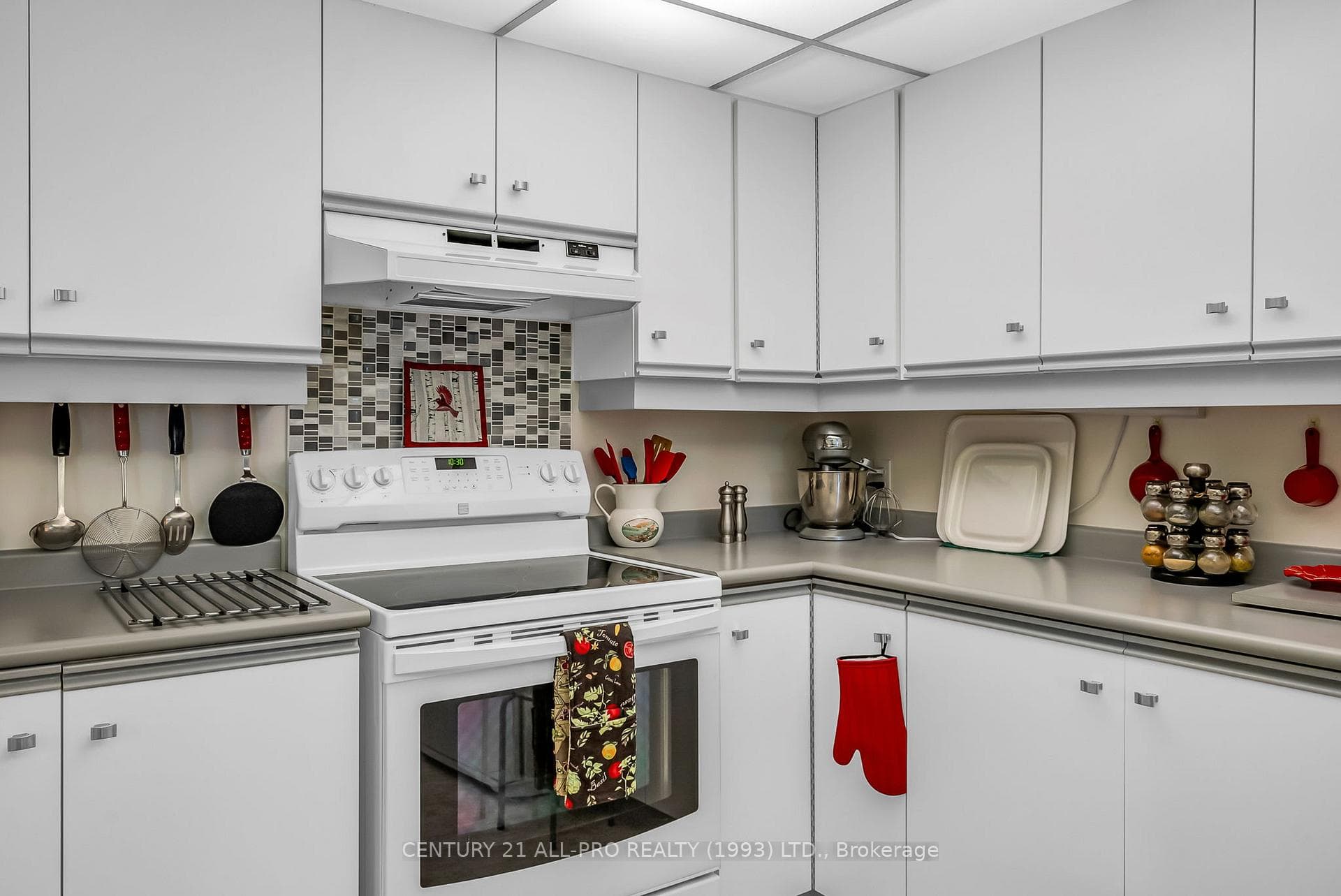 245 ELGIN Street Unit 114 photo 15
