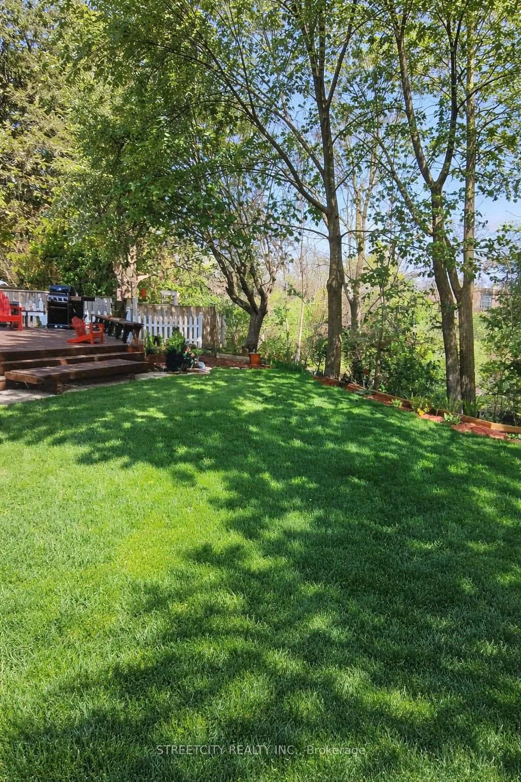 6 Montgomery Road photo 42
