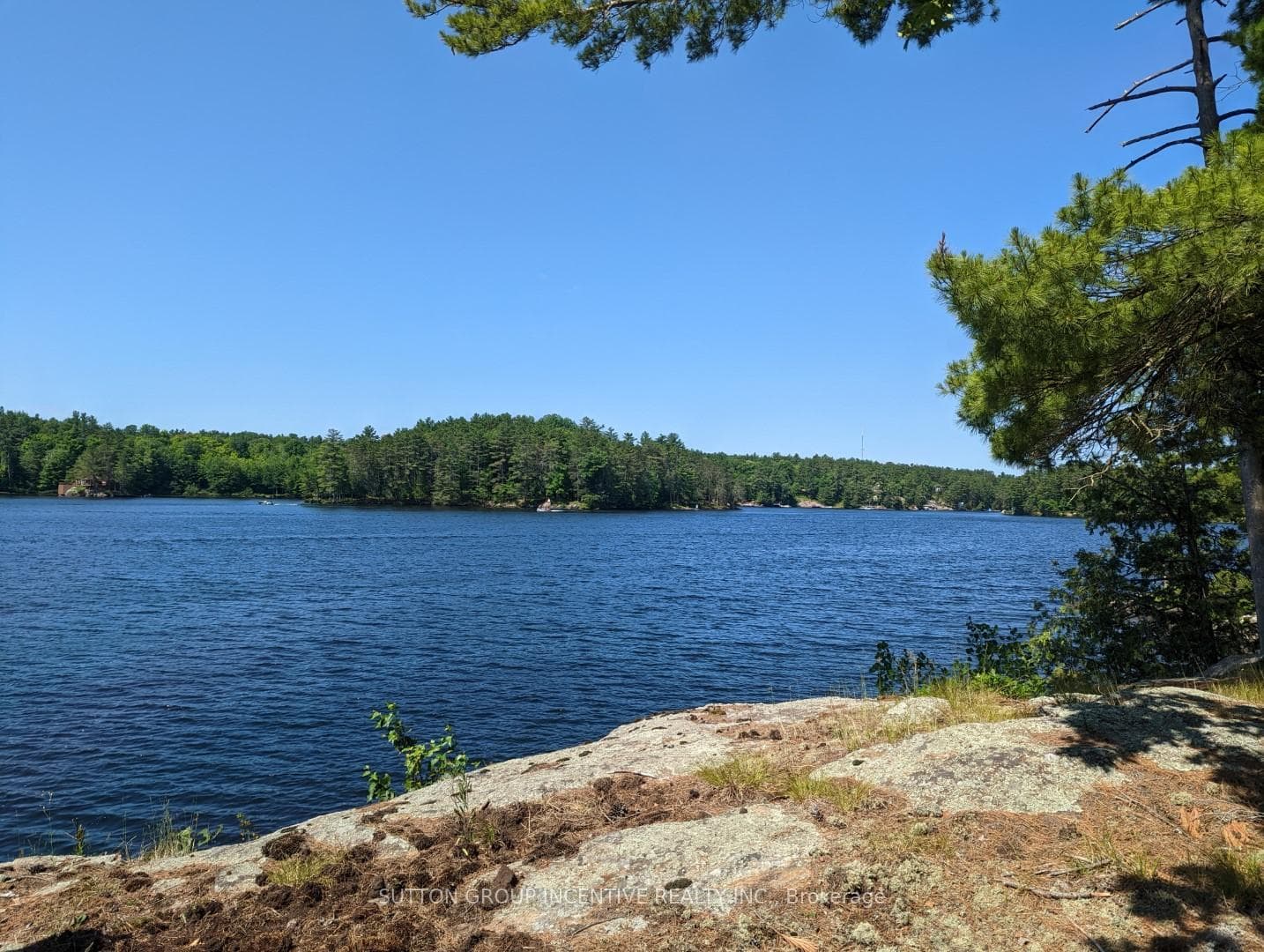 Panoramic views