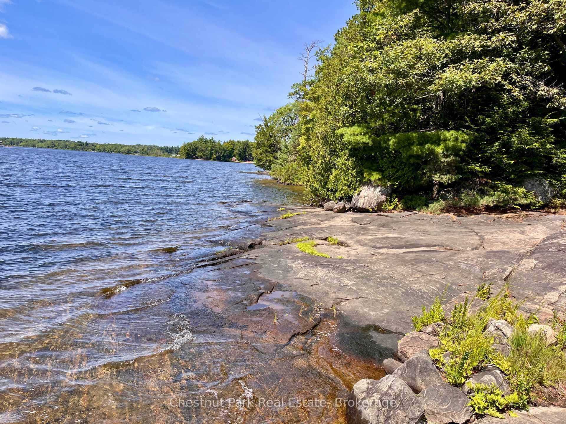 1119 Trafalgar Bay Road photo 4