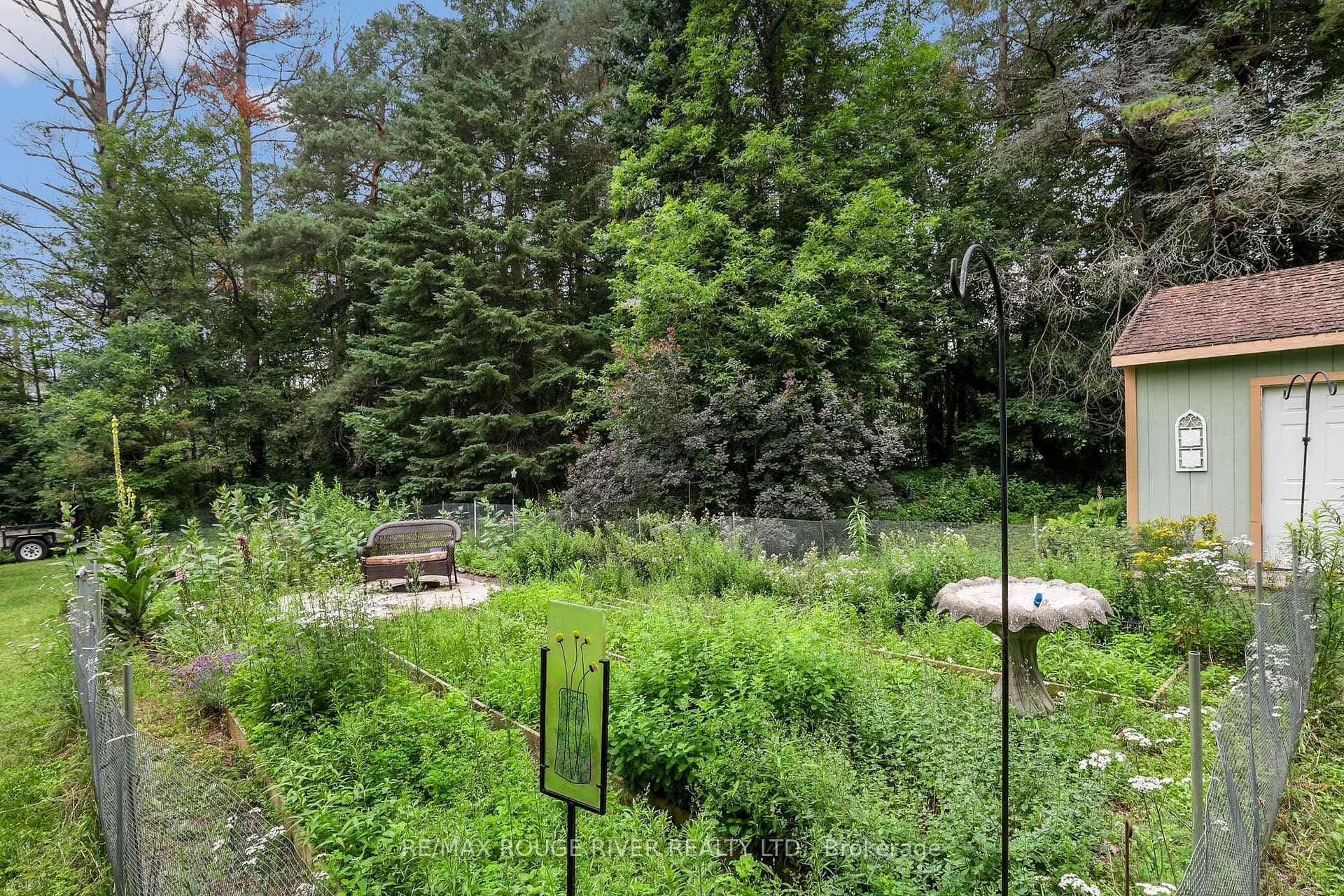 Butterfly Garden