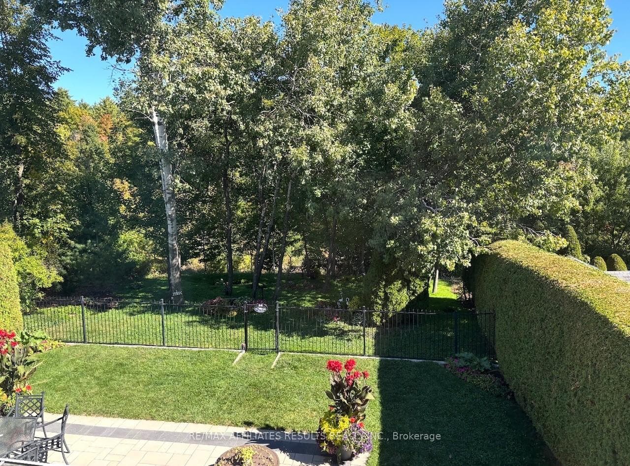 Backyard to ravine