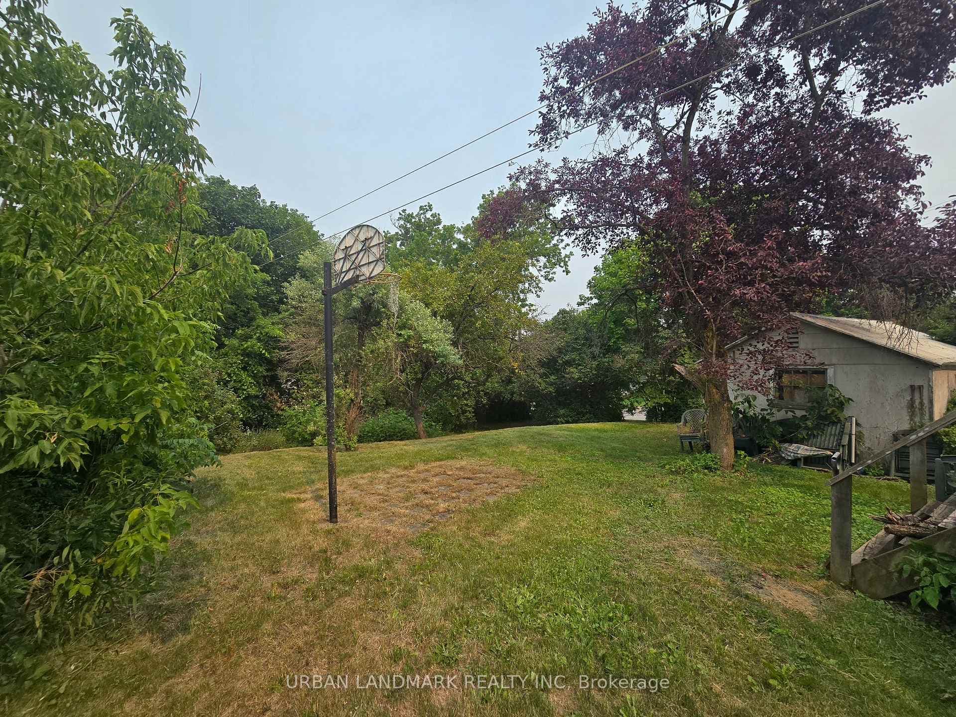 55 Nelson Street photo 9