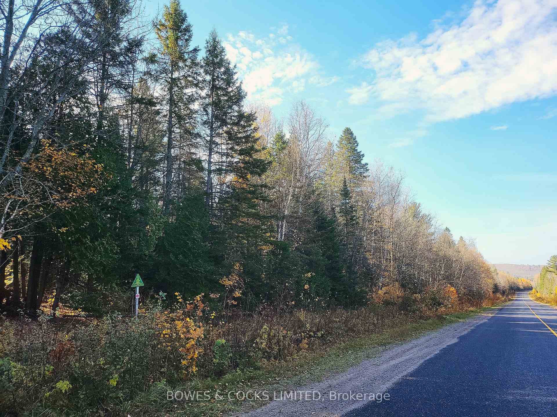49 Acres Frontage on Madawaska Rd.